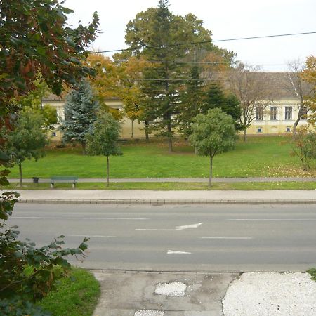 Szent Istvan Panzio Bed & Breakfast Hodmezovasarhely Exterior photo